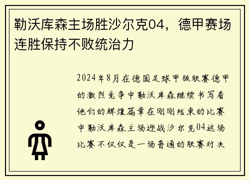勒沃库森主场胜沙尔克04，德甲赛场连胜保持不败统治力